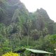 72- Une maison de Hakaui 